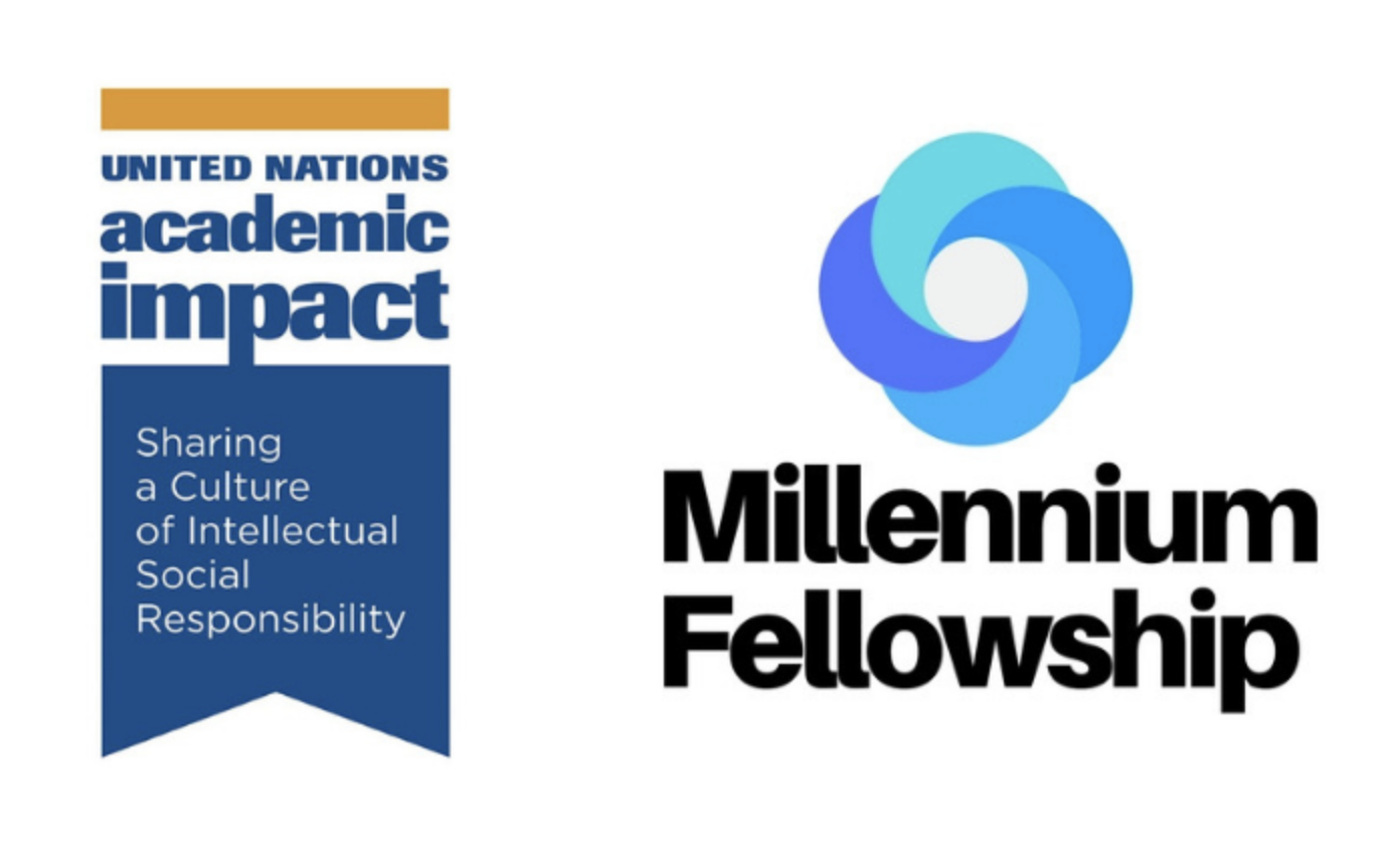 United Nations Millennium Fellowship