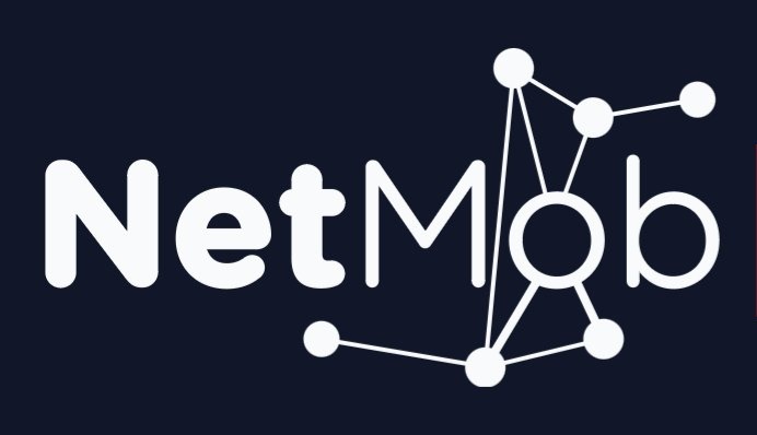 NetMob Logo
